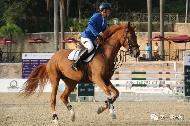 包含广东队成为本场最大亮点，全国篮球锦标赛瞬间破防，弹幕刷屏的词条