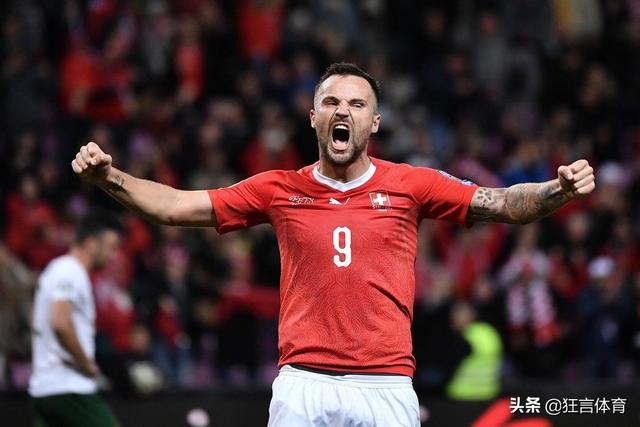 瑞士队斩获关键胜利，士气高昂的简单介绍